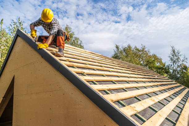 Best Roof Gutter Cleaning  in Dell Rapids, SD