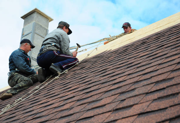 Best Roof Gutter Cleaning  in Dell Rapids, SD