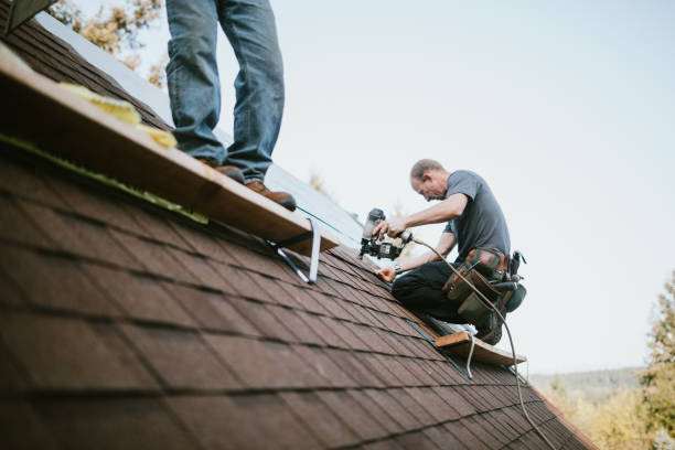 Roof Gutter Cleaning in Dell Rapids, SD