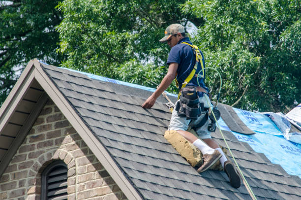 Best Roof Maintenance Services  in Dell Rapids, SD